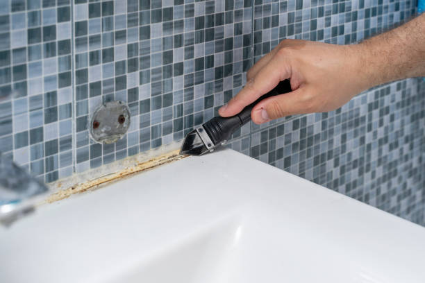 Best Mold Removal Near Me  in Jonestown, TX