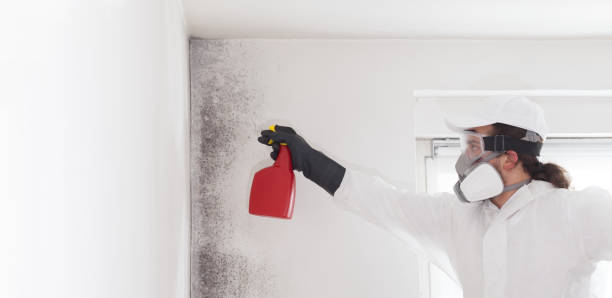 Best Mold Cleaning Services  in Jonestown, TX